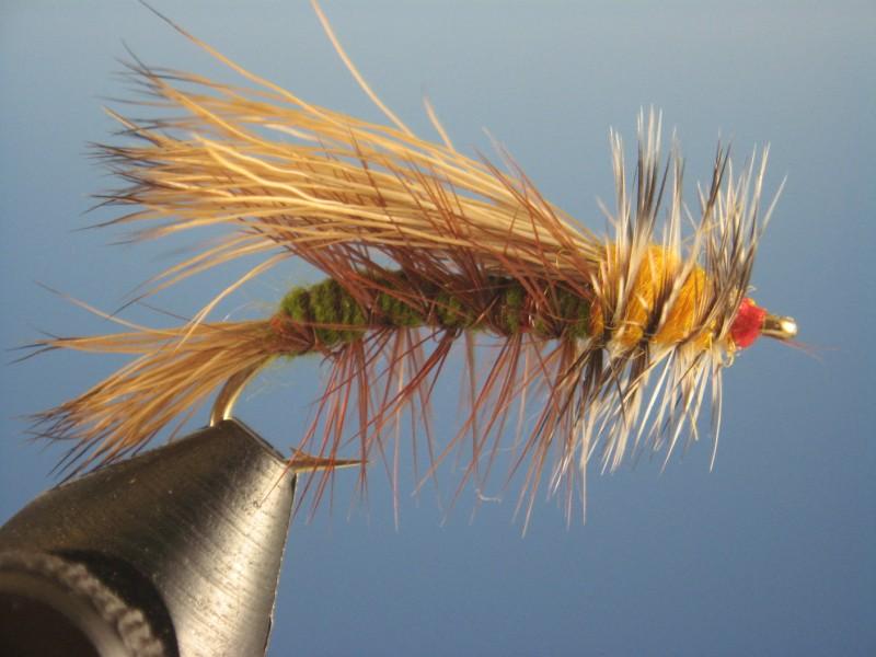 Olive Stimulator - The Trout Spot