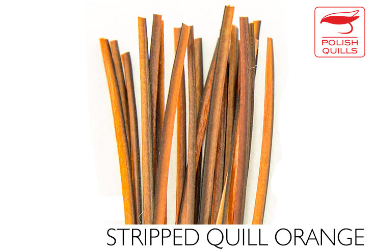 Polish Stripped Peacock Quills Orange
