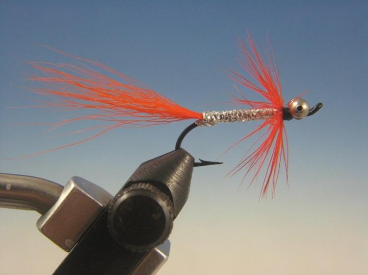 Orange Comet - The Trout Spot