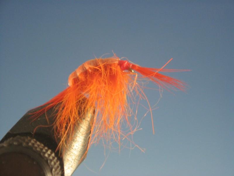Orange Scud - The Trout Spot