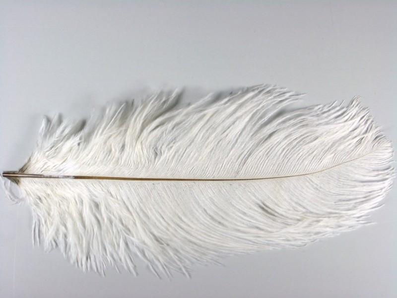 Ostrich Mini Plumes - The Trout Spot