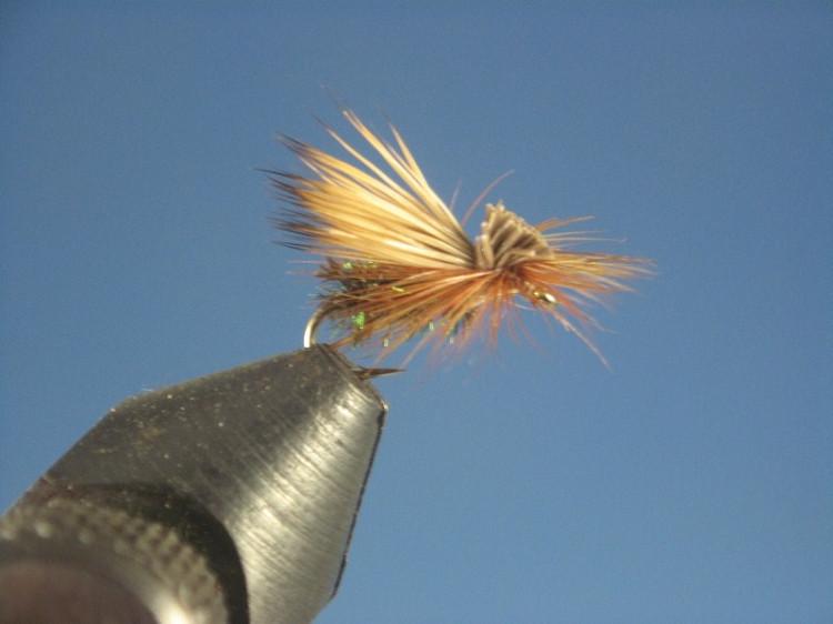 Otzinger's Hot Creek Caddis Peacock - The Trout Spot