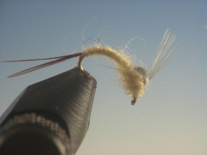 Pale Morning Dun Emerger - The Trout Spot
