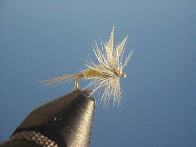 Pale Morning Dun - The Trout Spot