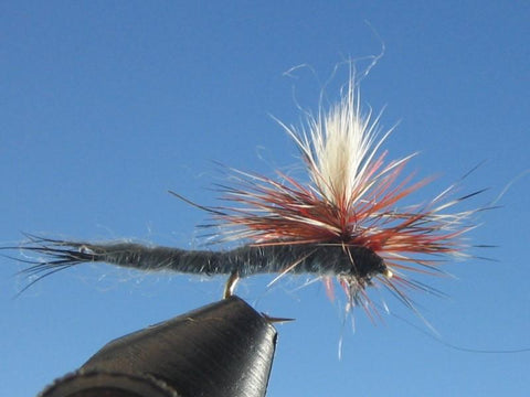 Parachute Adams Extended Body - The Trout Spot