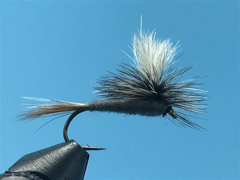 Parachute Adams - The Trout Spot