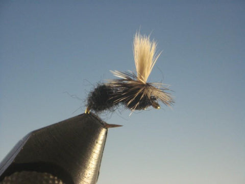 Parachute Black Ant - The Trout Spot