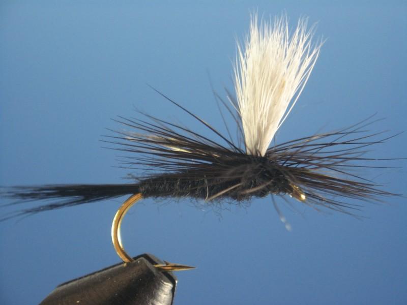 Parachute Black Gnat - The Trout Spot