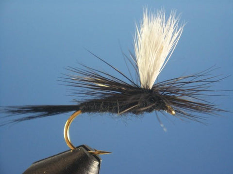 Parachute Black Gnat - The Trout Spot