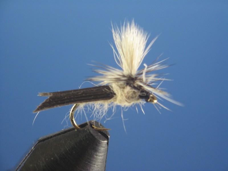 Parachute Caddis - The Trout Spot