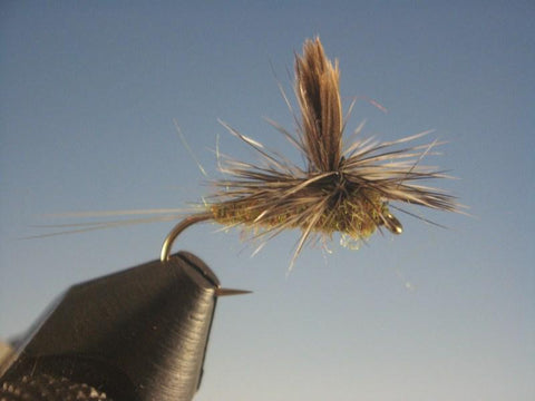 Parachute Callibaetis - The Trout Spot