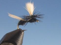 Parachute Flying Ant Black - The Trout Spot
