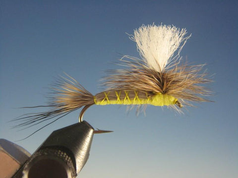 Parachute Foam Body Hexagenia Dry - The Trout Spot