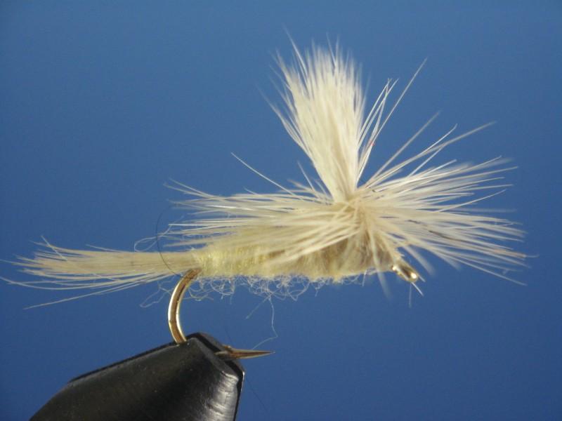 Parachute Light Cahill - The Trout Spot