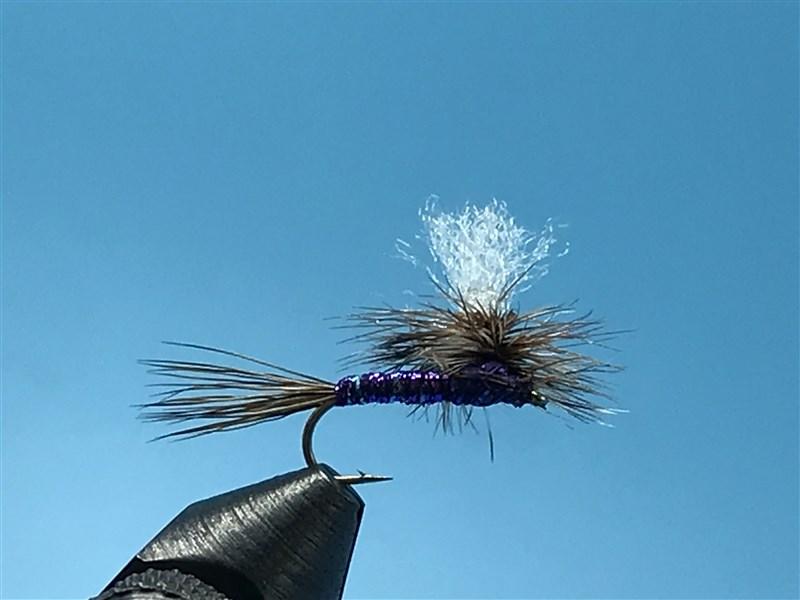 Parachute Purple Haze - The Trout Spot