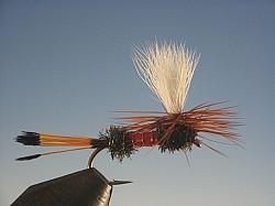 Parachute Royal Coachman - The Trout Spot