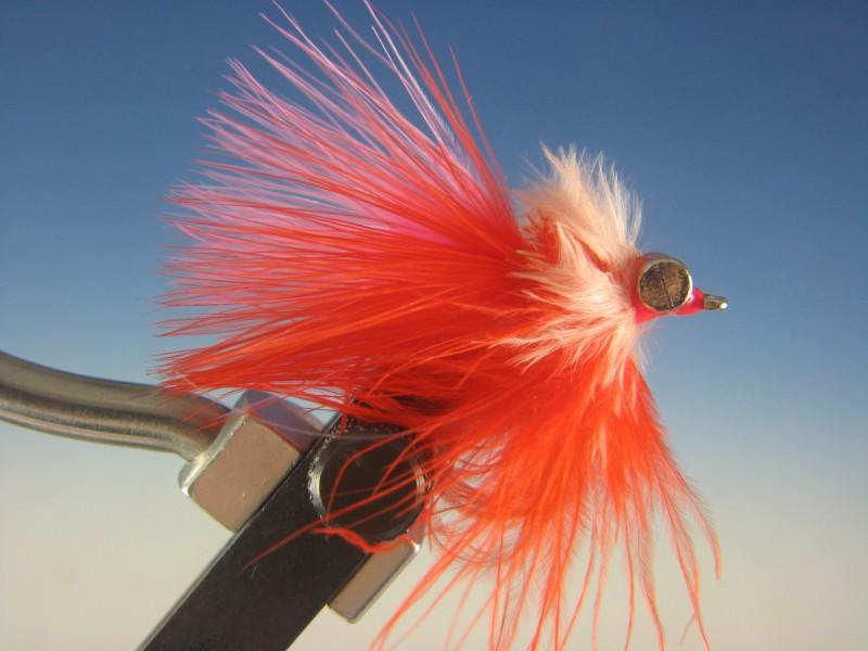 Perch Candy - The Trout Spot