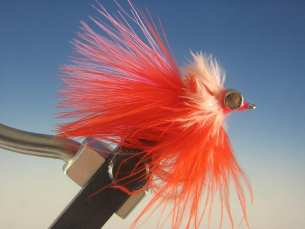 Perch Candy - The Trout Spot