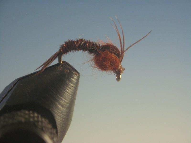 Pheasant Tail Emerger - The Trout Spot