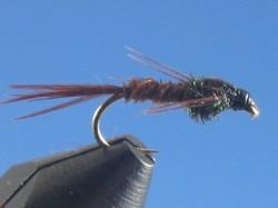 Pheasant Tail Nymph - The Trout Spot