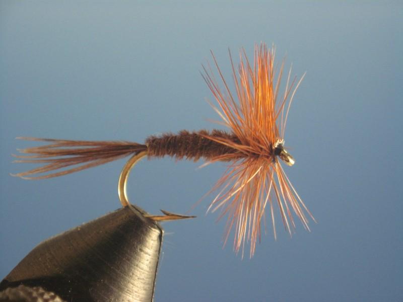 Pheasant Tail Olive Dry Fly - The Trout Spot