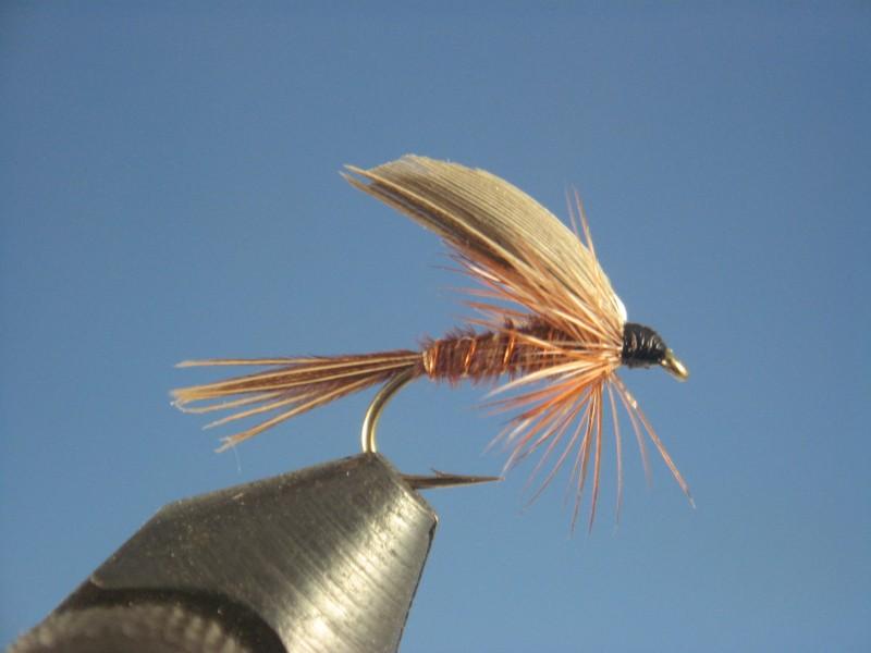 Pheasant Tail Wet Fly - The Trout Spot
