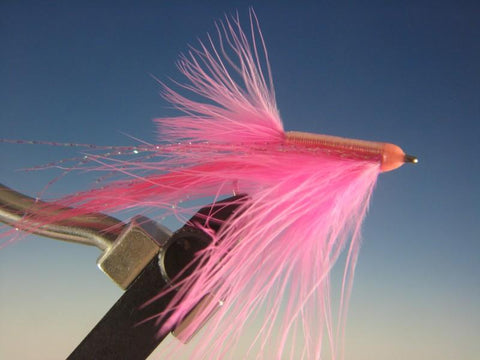 Pink Fink - The Trout Spot