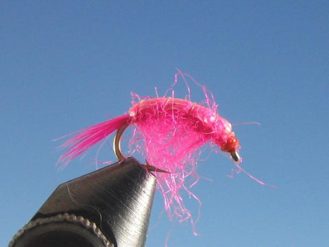 Pink Scud - The Trout Spot