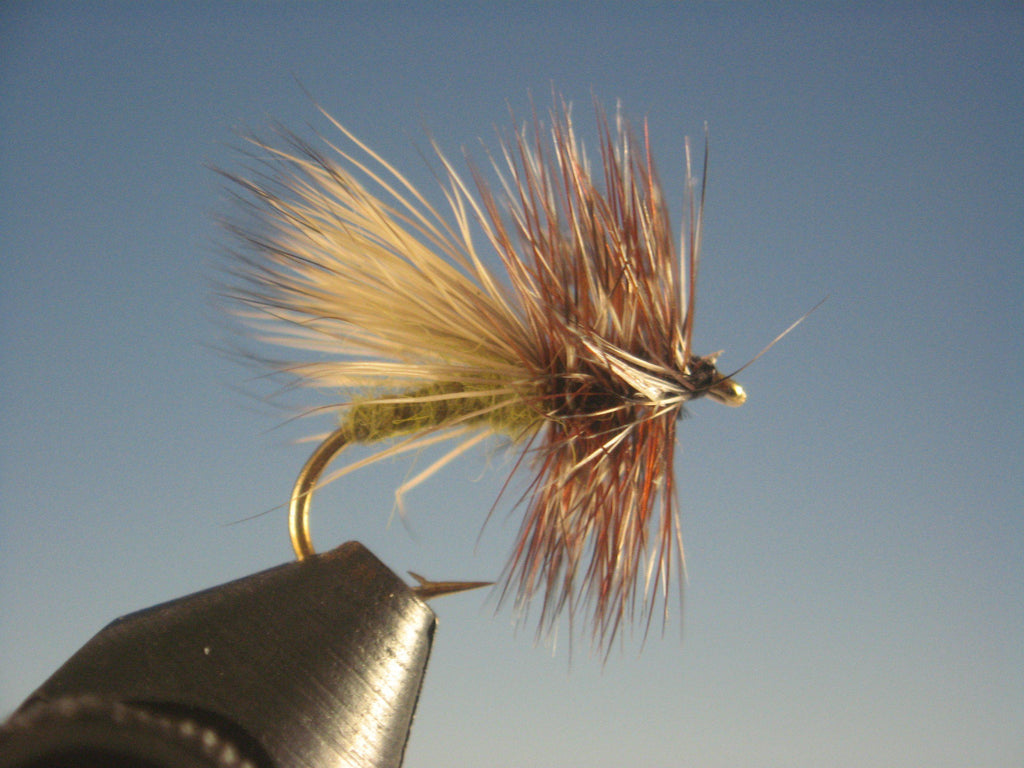 PM Caddis - The Trout Spot