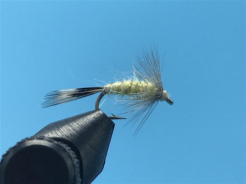 PMD Emerger Soft Hackle - The Trout Spot