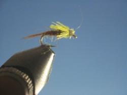 PMD Nymph - The Trout Spot