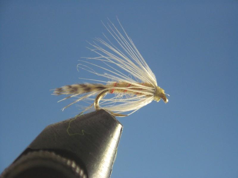 PMD Soft Hackle Emerger - The Trout Spot