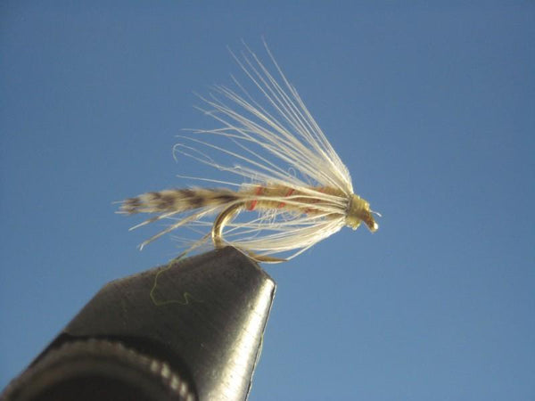 PMD Soft Hackle Emerger - The Trout Spot