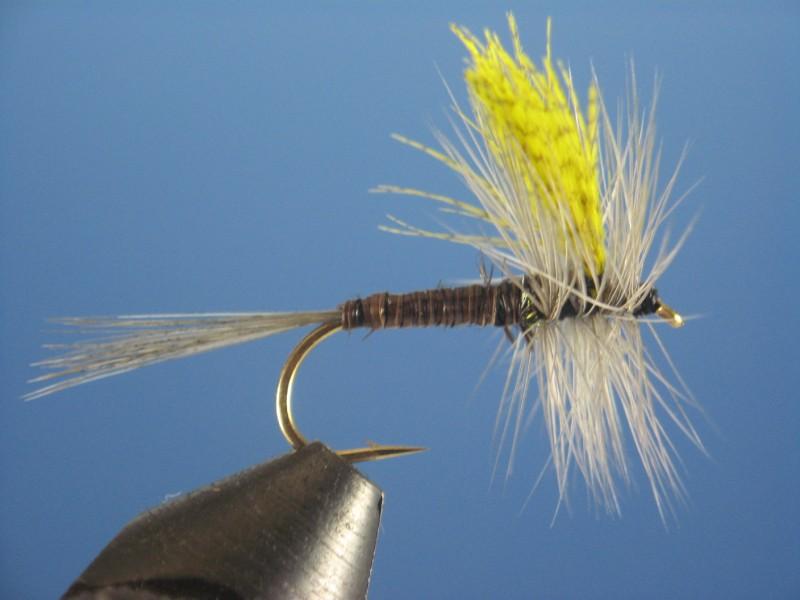 Quill Gordon - The Trout Spot