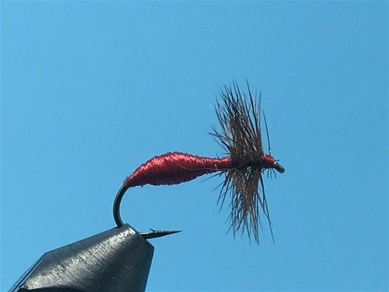 Red Ant - The Trout Spot