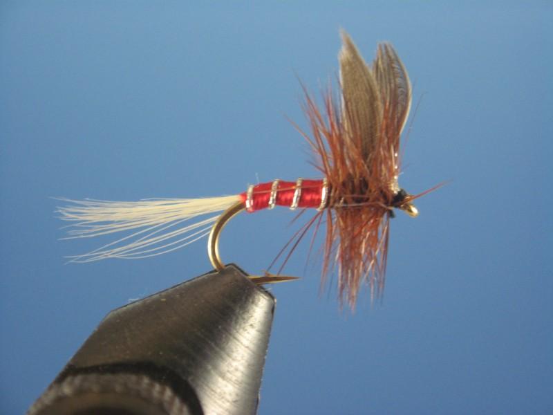 Red Spinner - The Trout Spot