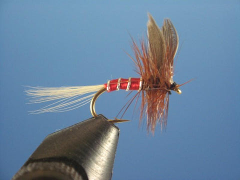 Red Spinner - The Trout Spot