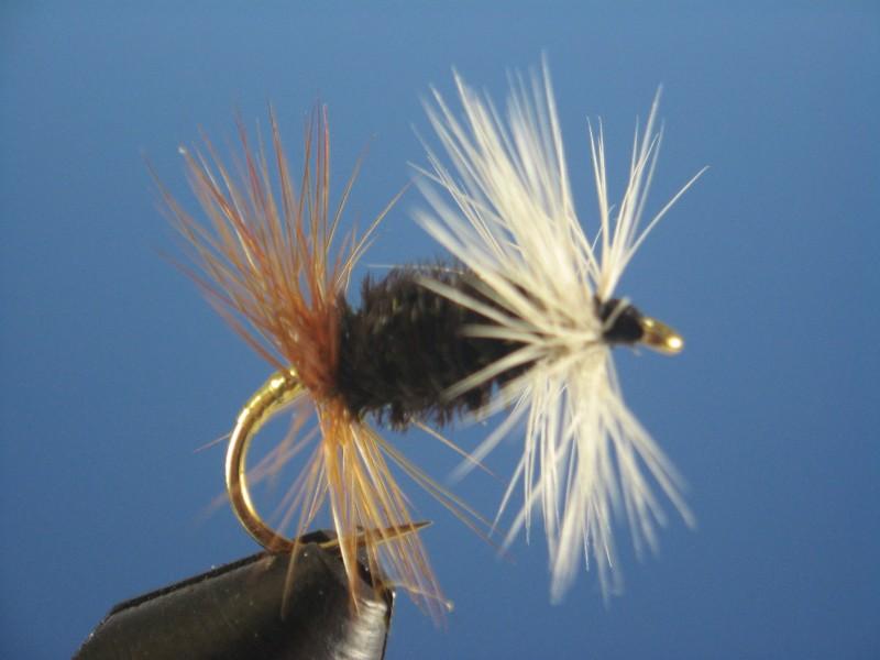 Renegade - The Trout Spot