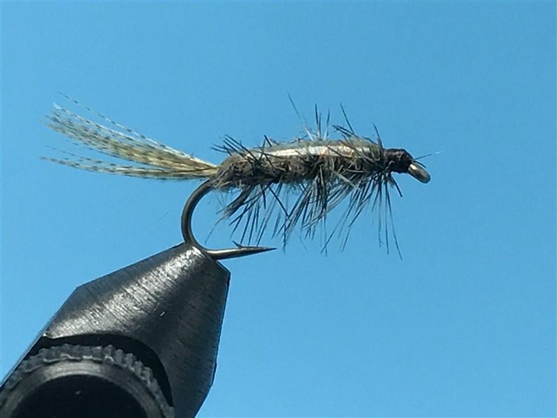 Rickard Callibaetis Nymph Grey - The Trout Spot