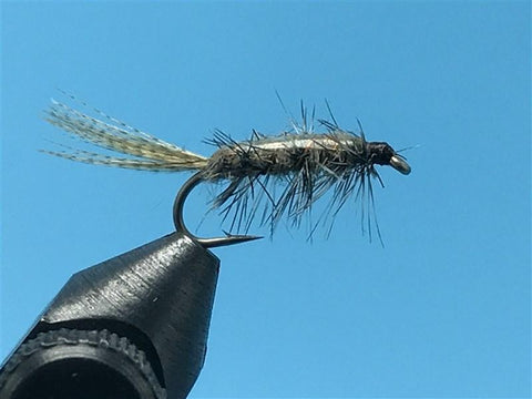 Rickard Callibaetis Nymph Grey - The Trout Spot