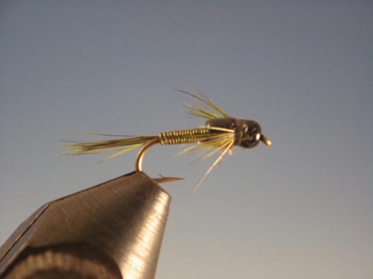Rod's Wire BWO Nymph - The Trout Spot