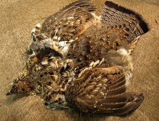Nature's spirit Select Ruffed Grouse Skin