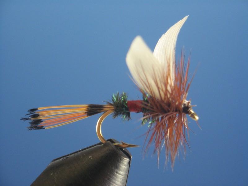 Royal Coachman - The Trout Spot