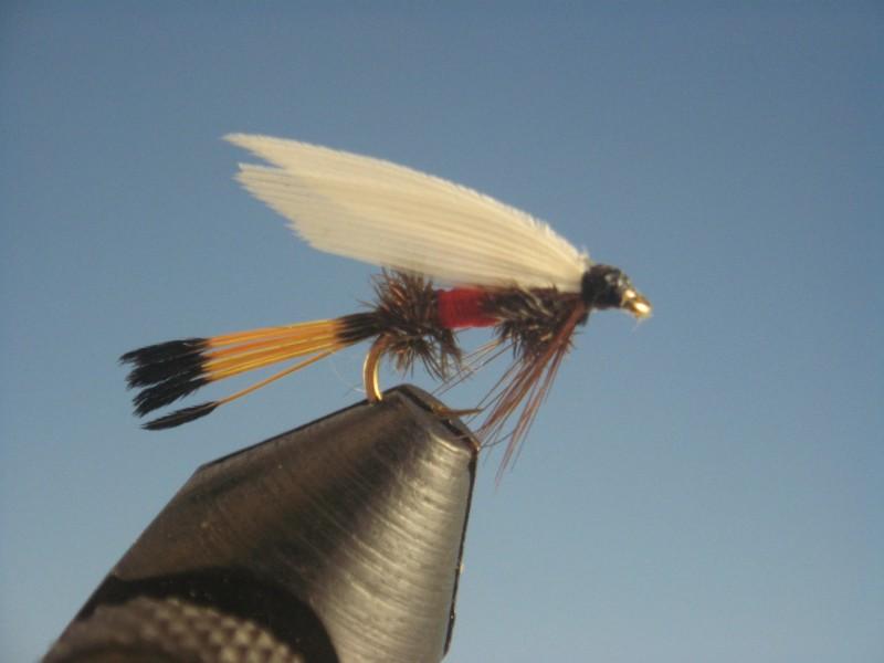 Royal Coachman Wet - The Trout Spot