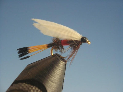 Royal Coachman Wet - The Trout Spot