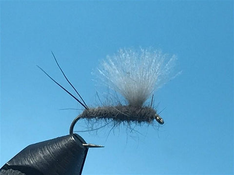 RS2 Emerger Grey - The Trout Spot