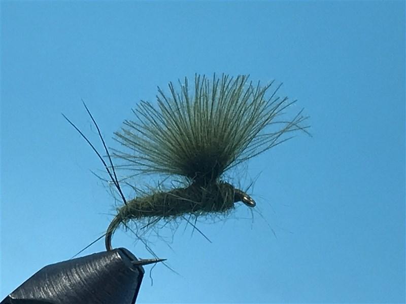 RS2 Emerger Olive - The Trout Spot