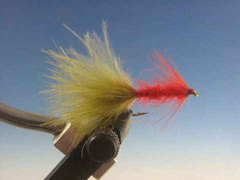 Seal Bugger Olive and Burnt Orange - The Trout Spot