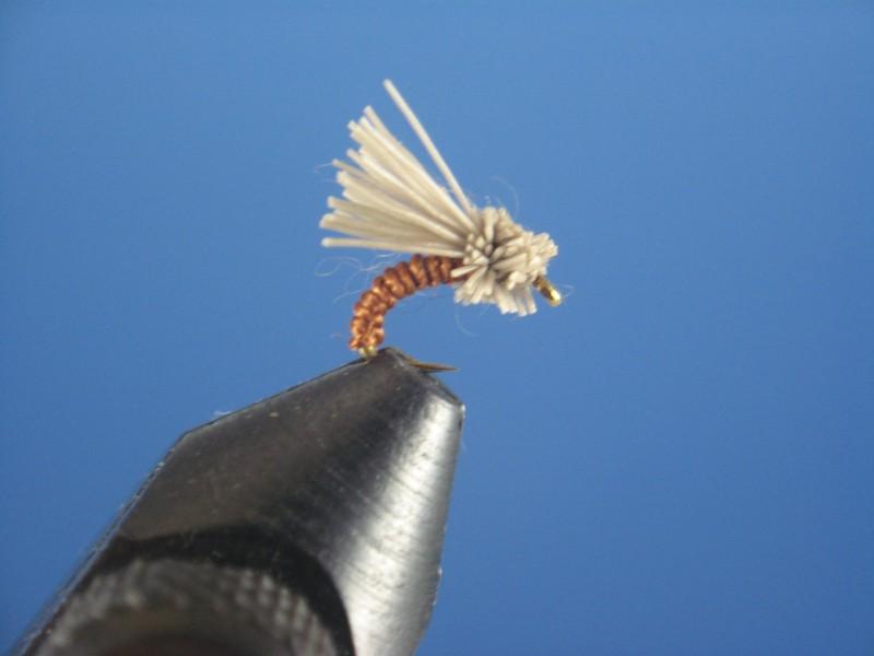 Serendipity Brown - The Trout Spot