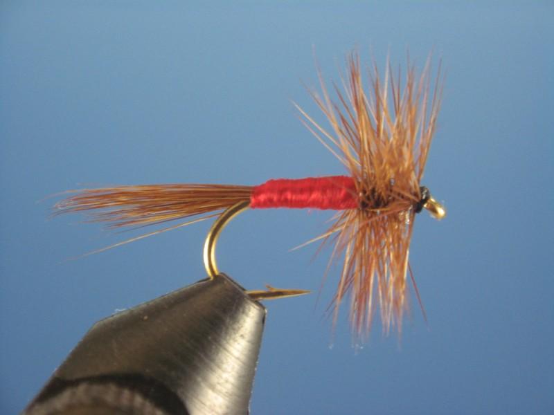 Sherry Spinner - The Trout Spot